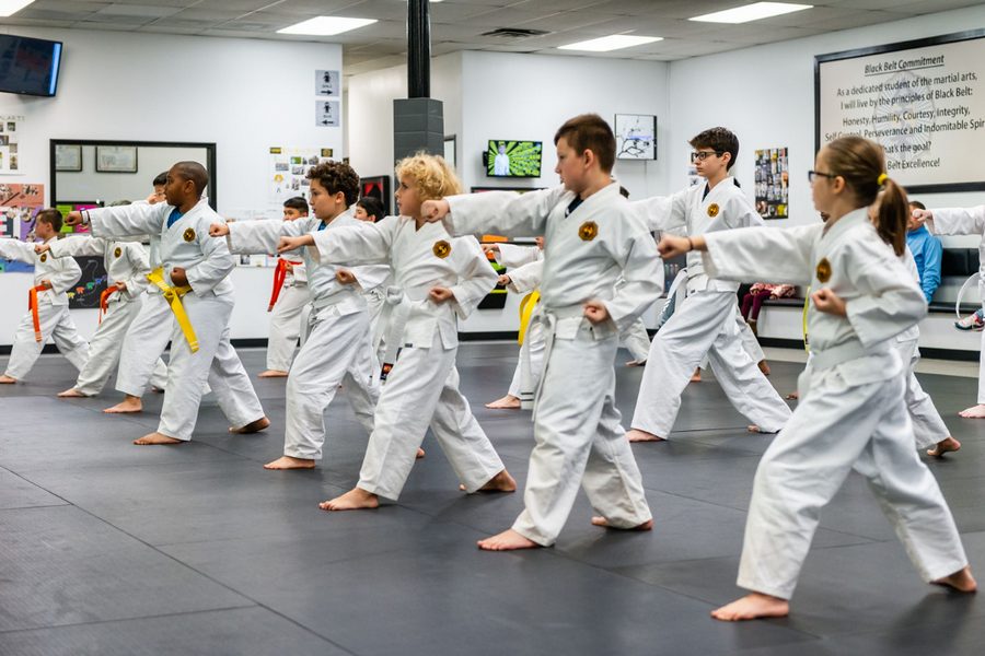 Martial Arts for Kids to Learn